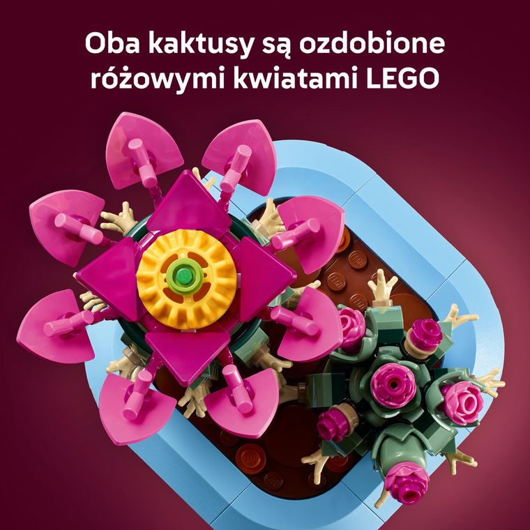 LEGO Botanicals, Kwitnący kaktus, 11509