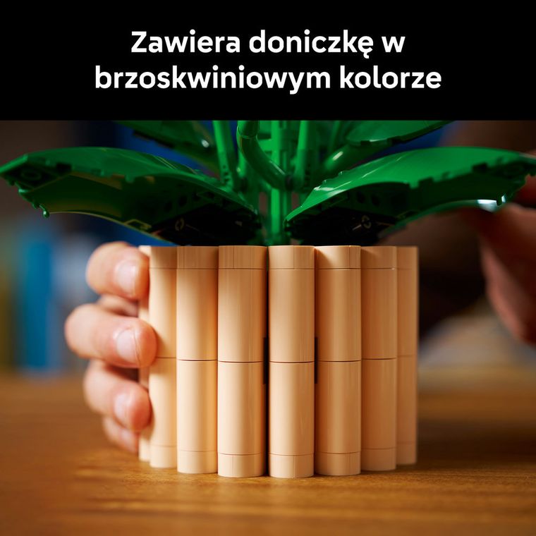 LEGO Botanicals, Skrzydłokwiat, 11504
