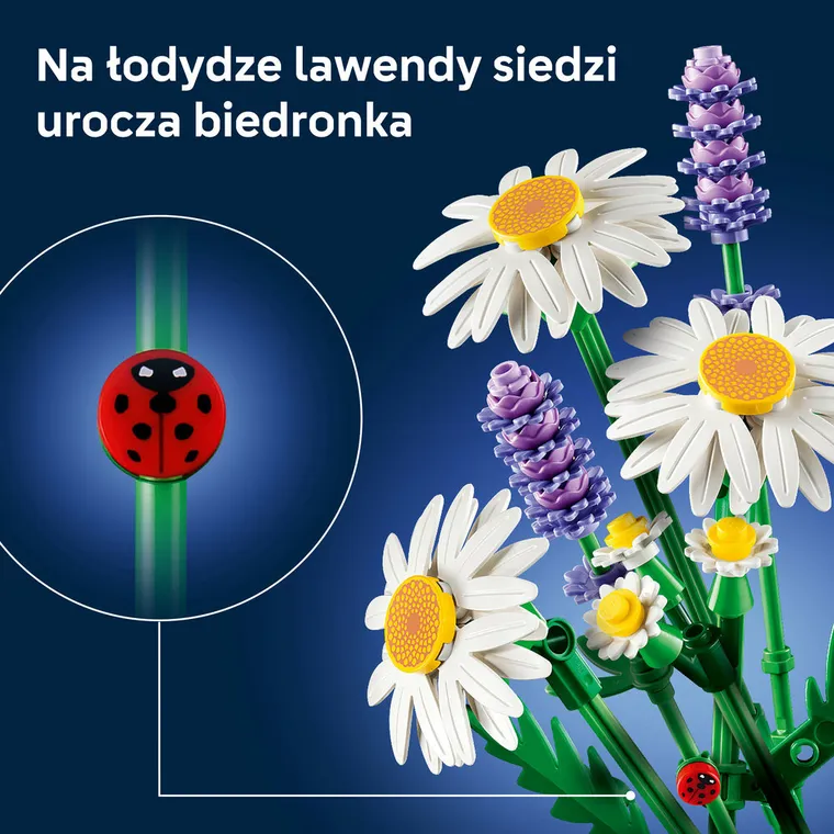 LEGO Botanicals, Stokrotki, 11508