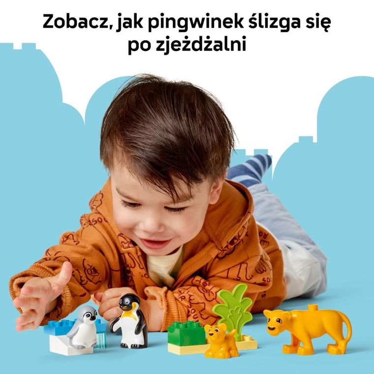 LEGO DUPLO, Rodziny dzikich zwierząt: pingwiny i lwy, 10442