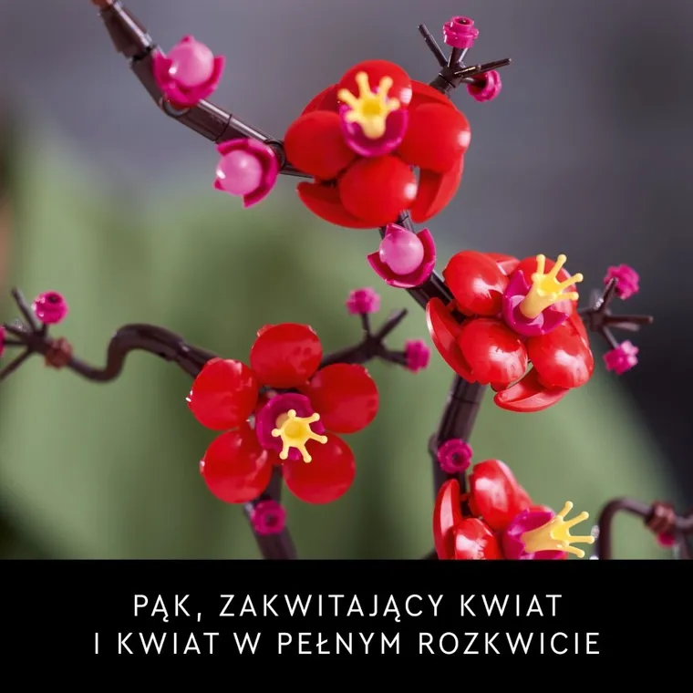 LEGO Icons, Kwiat śliwy, 10369