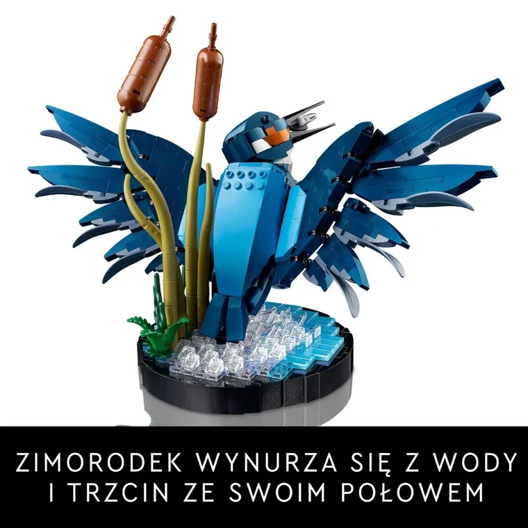 LEGO Icons, Zimorodek, 10331