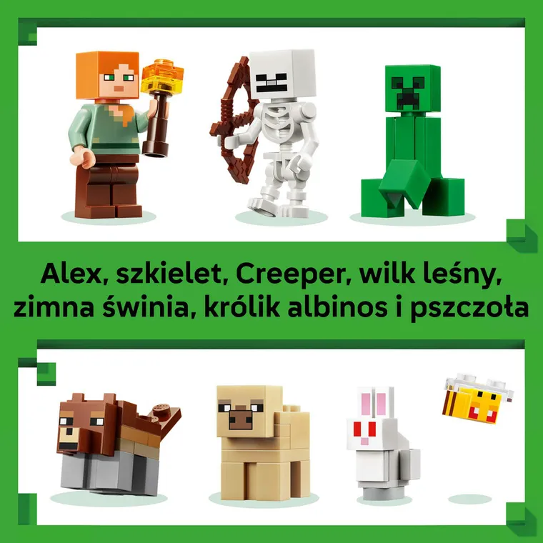 LEGO Minecraft, Przetrwanie pierwszej nocy, 21593