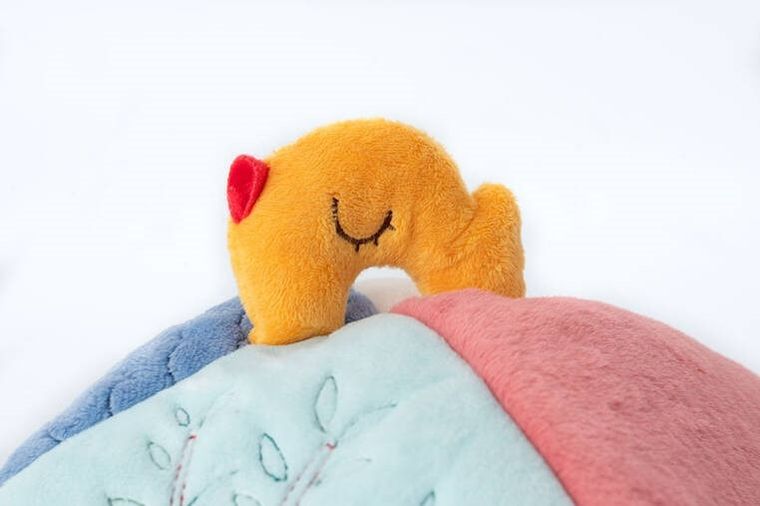 Lilliputiens, Piesek Jules, domek aktywizujący z grzechotkami, 9m+