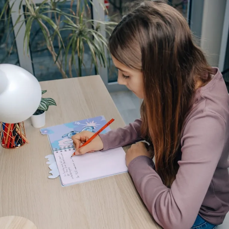 Lilo i Stitch, notes, A5, 80 stron, 1 szt.