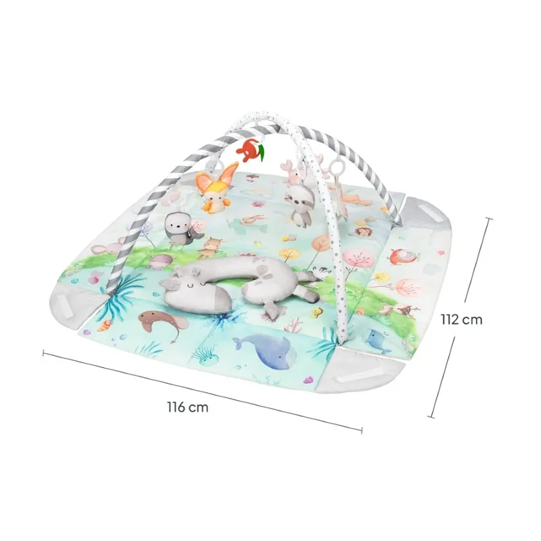 Lionelo, Anika, mata edukacyjna, natural