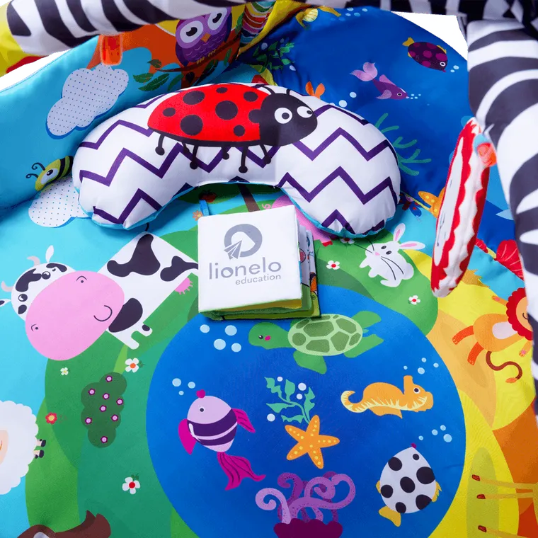 Lionelo, Anika Plus, mata edukacyjna, Blue Yellow