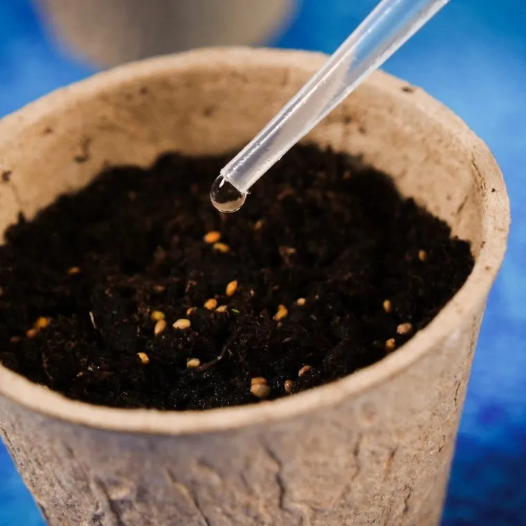 Lisciani, I'm a Genius, Nauka w domu, Botanika