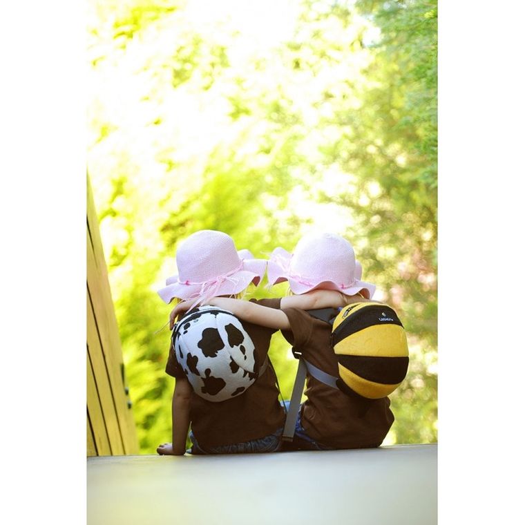 LittleLife, Animal Pack, Pszczółka, plecak dla przedszkolaka