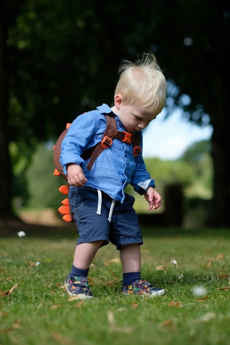 LittleLife, Dinozaur, plecak dla przedszkolaka