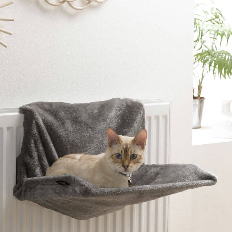 Love Story, Hamak dla kota na kaloryfer