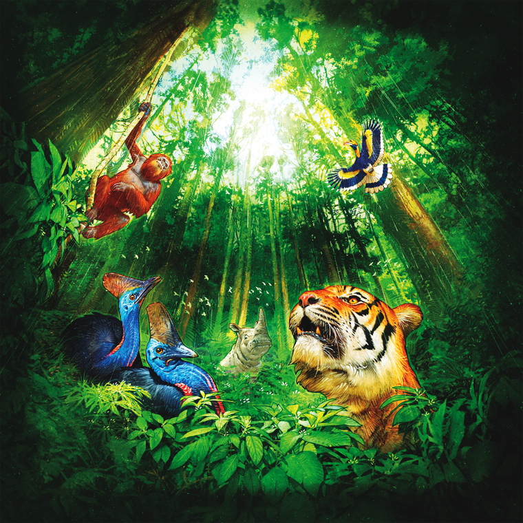 Lucky Duck Games, Hutan, gra familijna