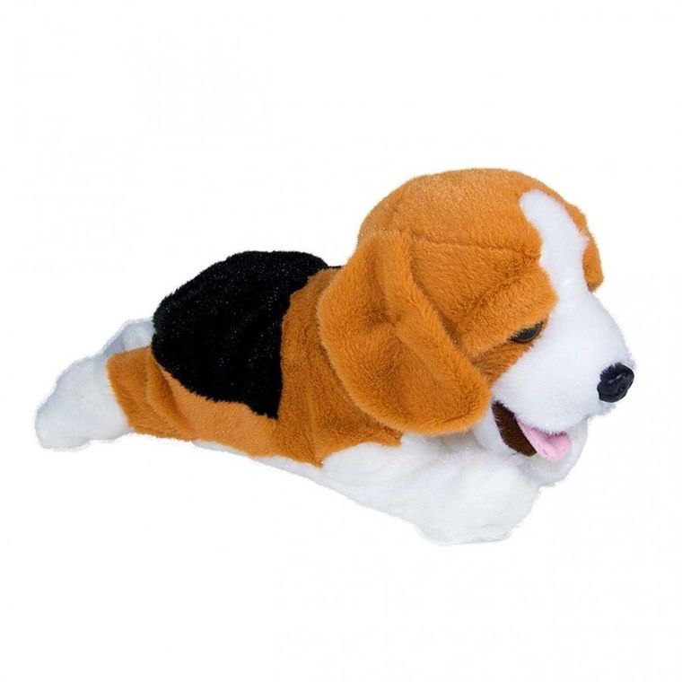 Madej, Beagle Figo, pies reagujący na komendy, maskotka interaktywna