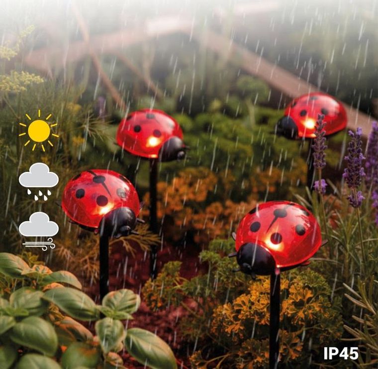Maximex, lampki ogrodowe solarne, biedronki LED, 14 cm, 4 szt.