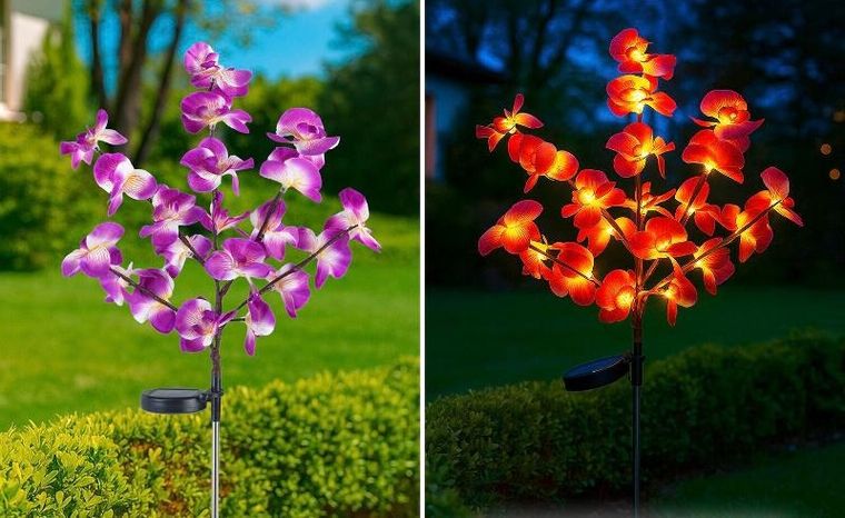 Maximex, lampki ogrodowe solarne, storczyki LED, 75 cm, 2 szt.