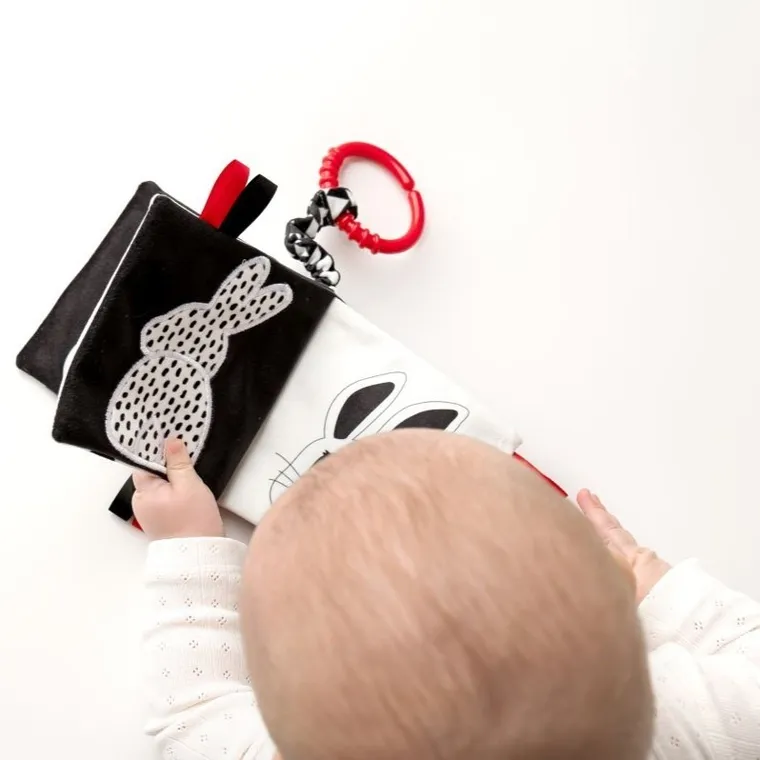 Mom's Care, Kto to? Co to? książeczka edukacyjna