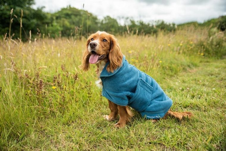 Mountain Paws, kamizelka z polaru dla psa, rozmiar S