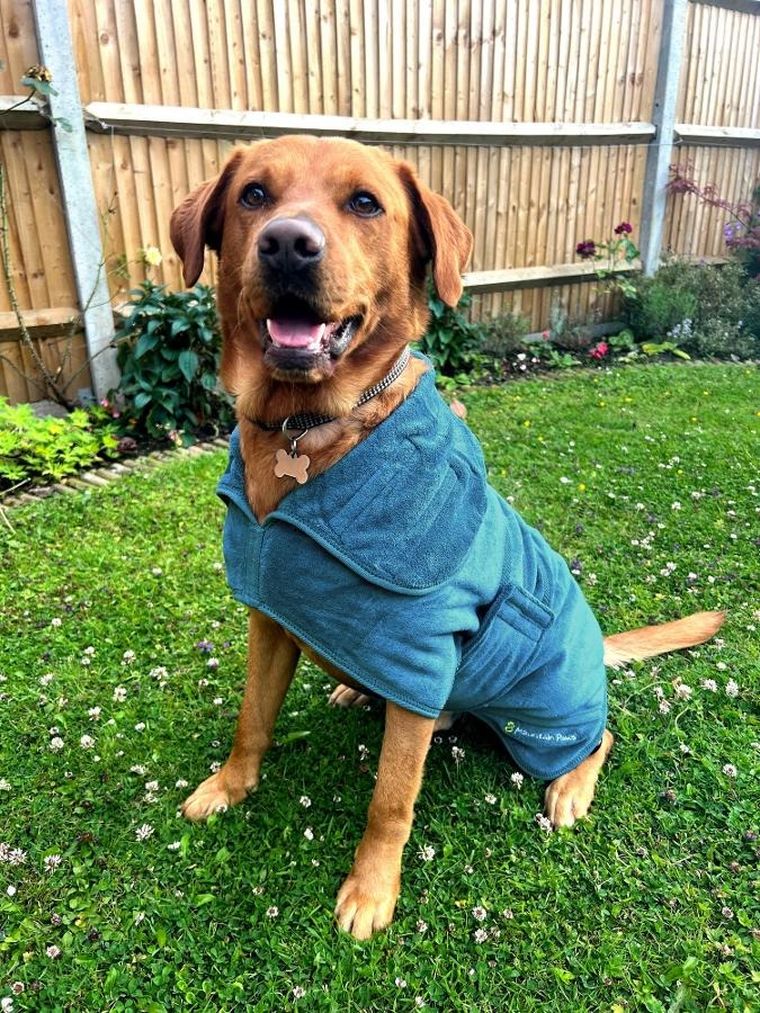 Mountain Paws, kamizelka z polaru dla psa, rozmiar XL