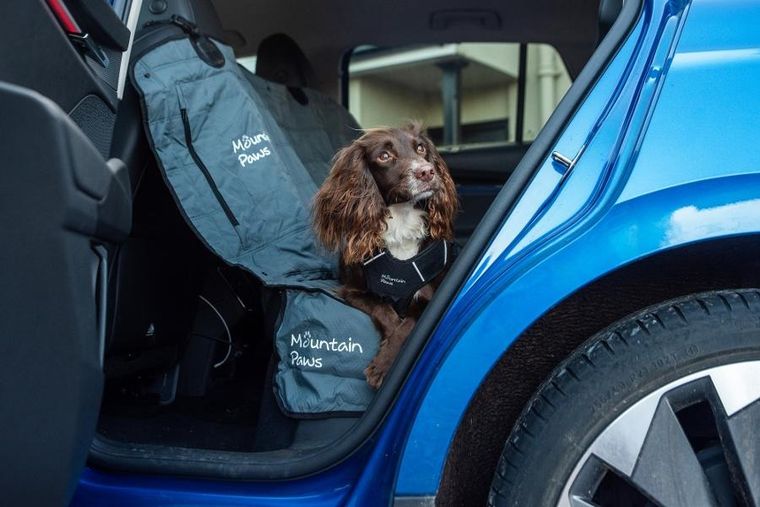 Mountain Paws, mata ochronna dla psa do samochodu