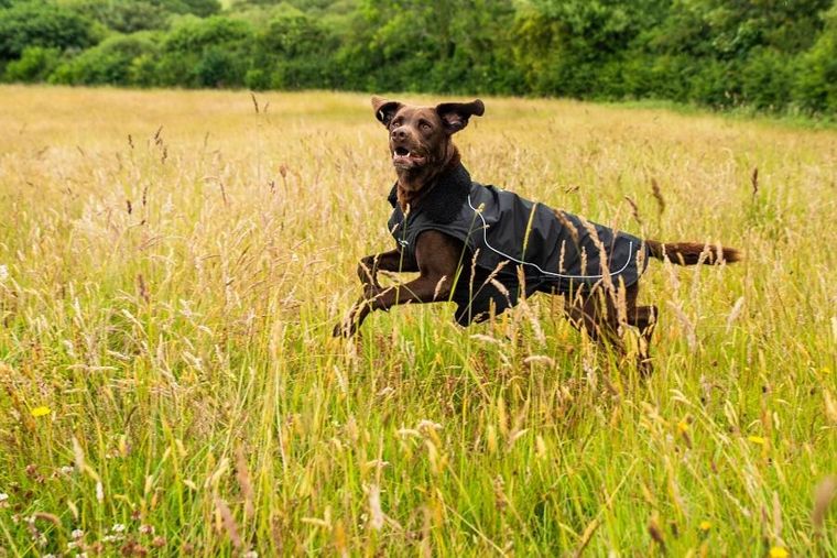 Mountain Paws, ocipelany płaszcz przeciwdeszczowy dla psa, rozmiar XL