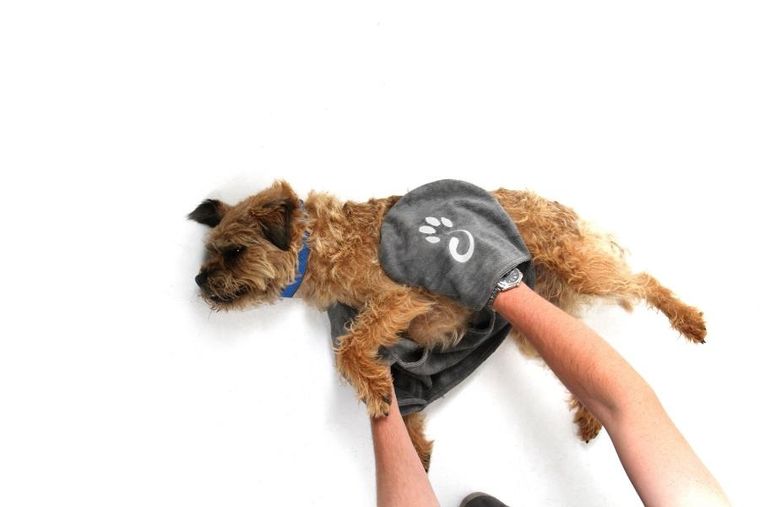 Mountain Paws, ręcznik do wycierania psa