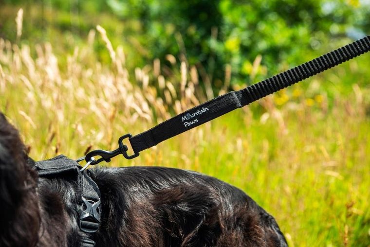 Mountain Paws, smycz dla psa z amortyzatorem, 135 cm