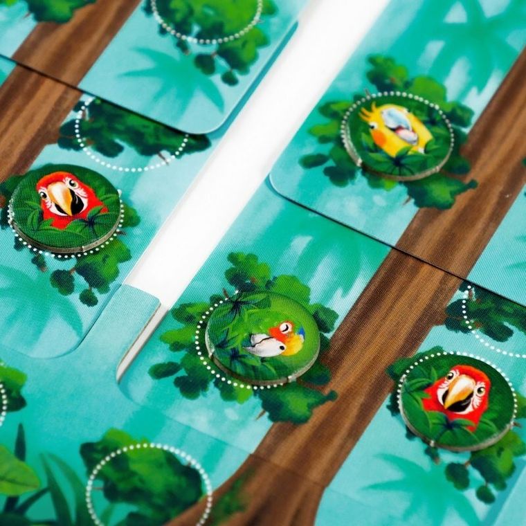 Muduko, Złap kadr! Gra o najlepsze zdjęcie, gra towarzyska