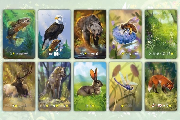 Nasza Księgarnia, Ekosystem, gra familijna