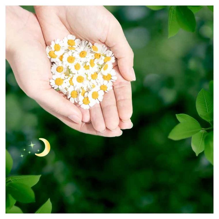 Naturella, Classic Night Camomile, podpaski ze skrzydełkami, 7 szt.