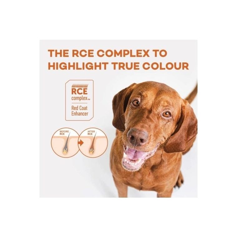 Nature's Protection, sucha karma dla psów małych ras, łosoś, kryl, 1,5 kg