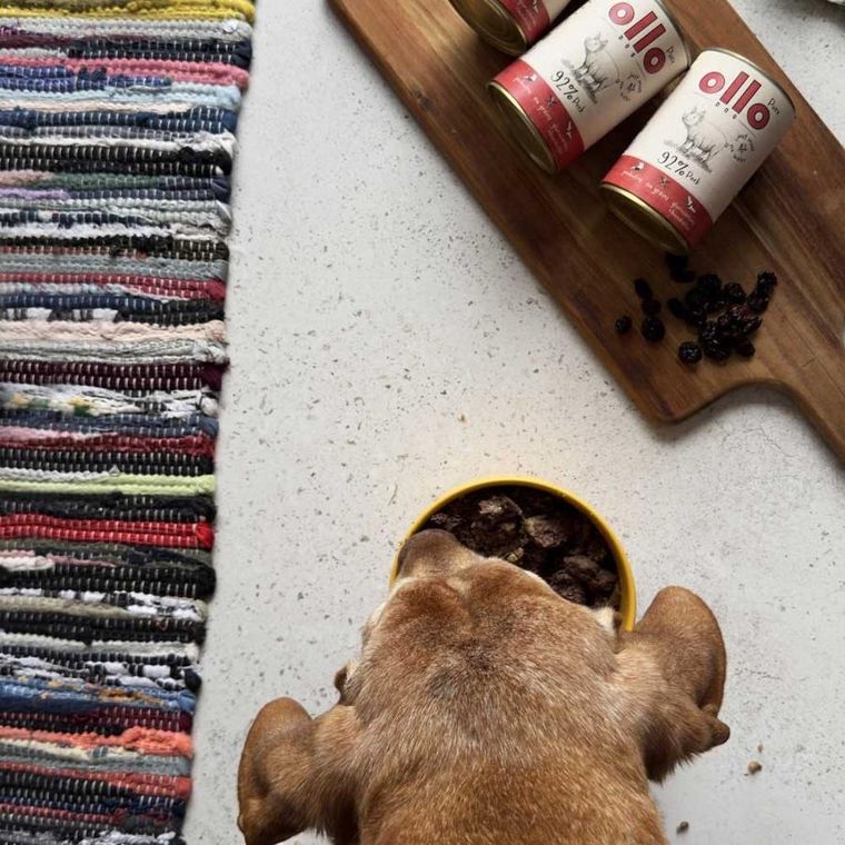 Ollo, Pure, Wieprzowina, karma dla psa, 850g