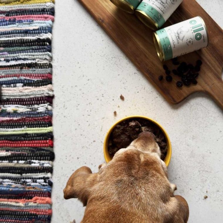 Ollo, Umami, Gęś i Indyk, karma mokra dla psa, 850g