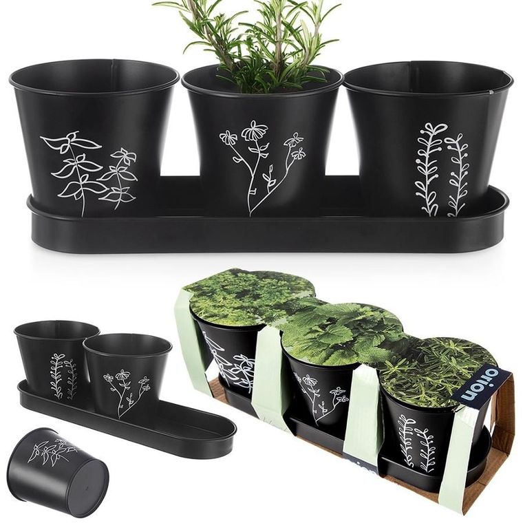 Orion, Blackline, doniczka na zioła, na podstawce, 4 elementy