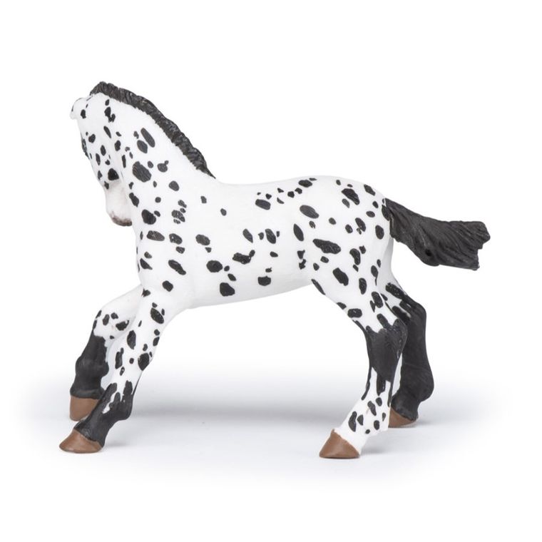 Papo, Czarne źrebię rasy appaloosa, figurka kolekcjonerska