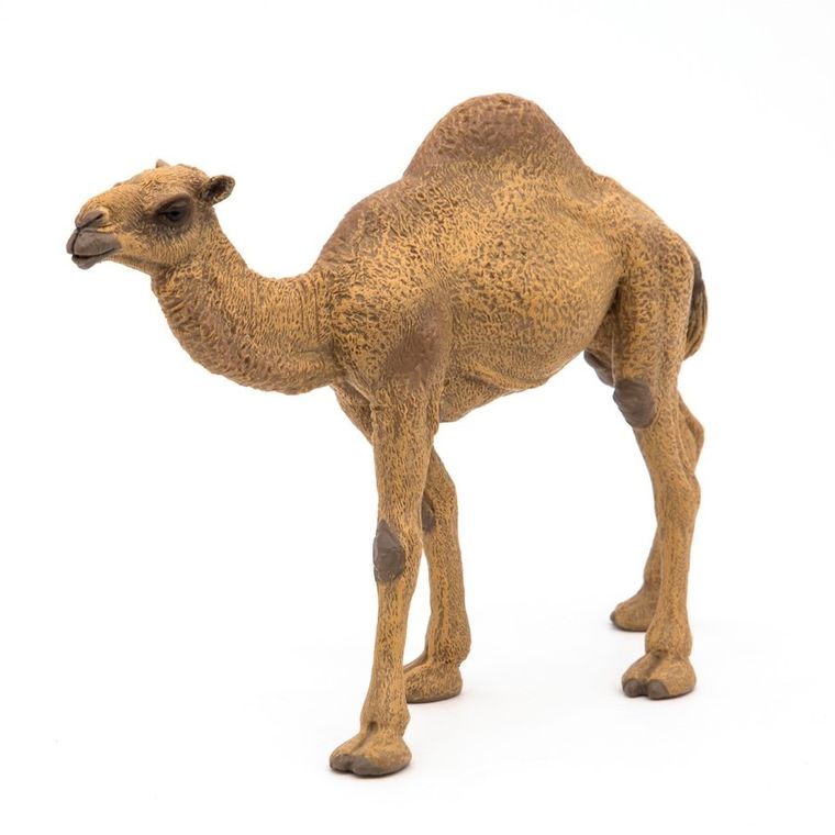 Papo, Dromader, figurka kolekcjonerska