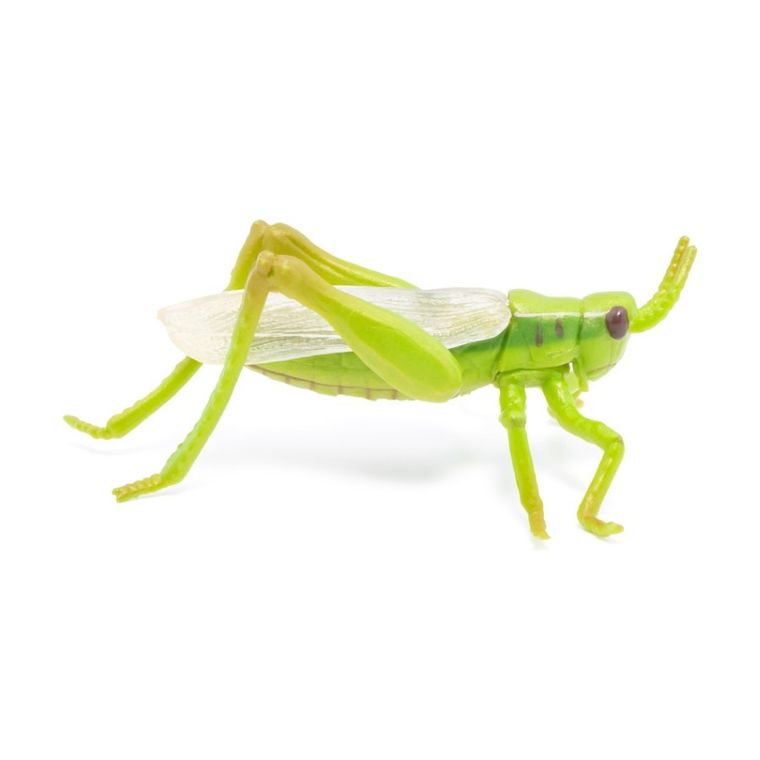 Papo, Konik polny, figurka