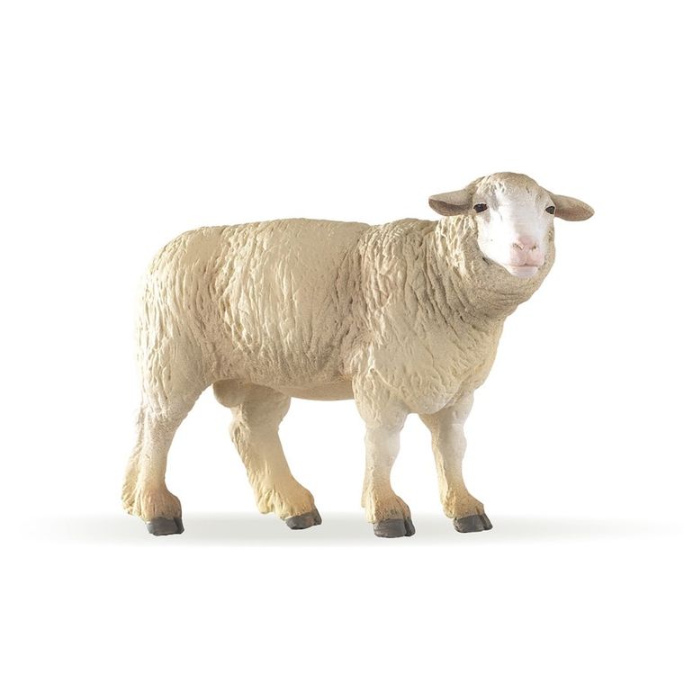 Papo, Owca, figurka kolekcjonerska