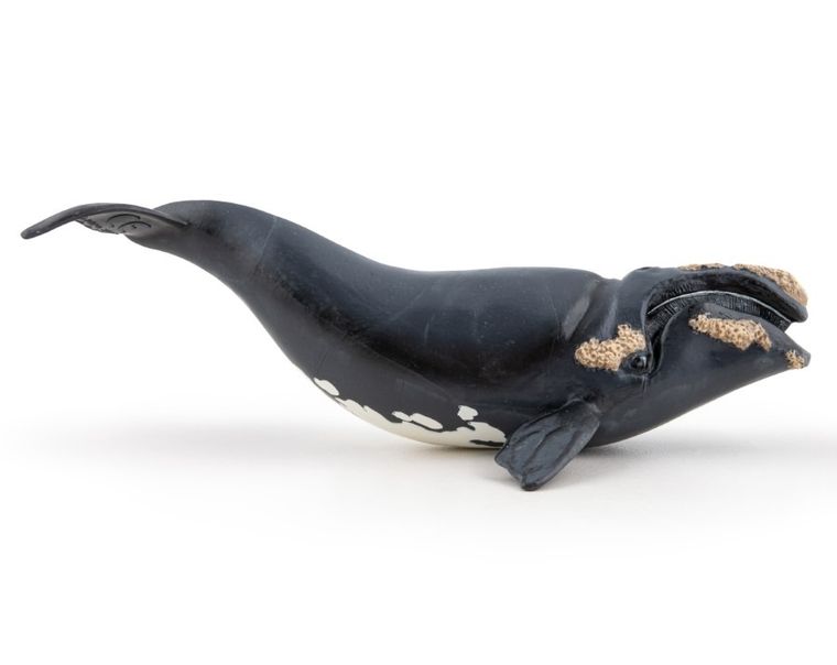 Papo, Waleń, figurka