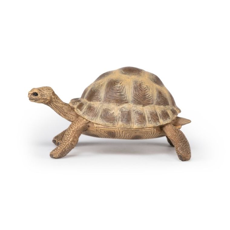 Papo, Żółw Hermana, figurka