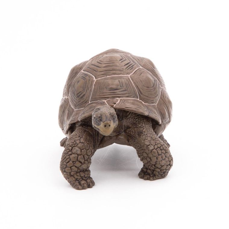 Papo, Żółw słoniowy, figurka kolekcjonerska