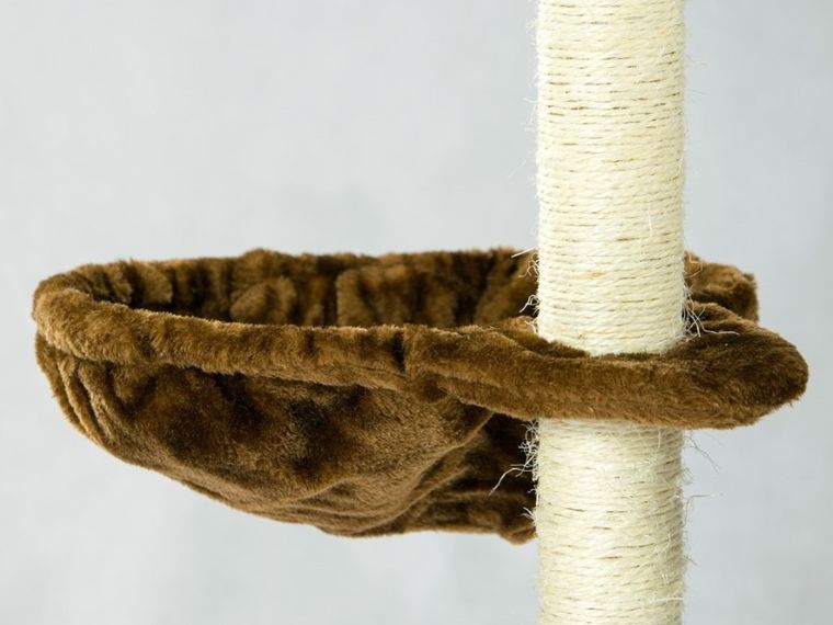 Pethaus, DR-204, drapak, domek dla kota, 138 cm, brązowo-biały