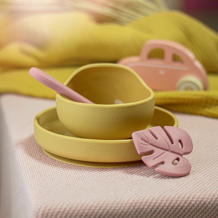 Petite&Mars, Take&Match, silikonowy gryzak, Dusty Rose, 6m+