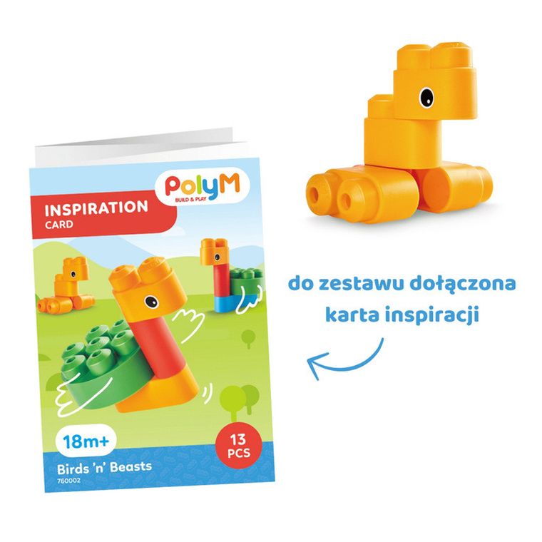 PolyM, Ptaki i zwierzęta, klocki konstrukcyjne, 13 elementów