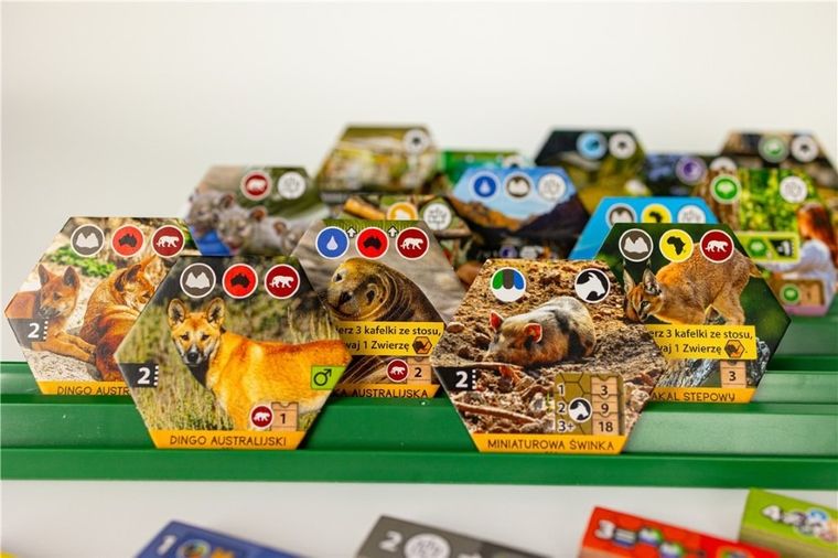 Portal Games, Rezerwat, gra strategiczna