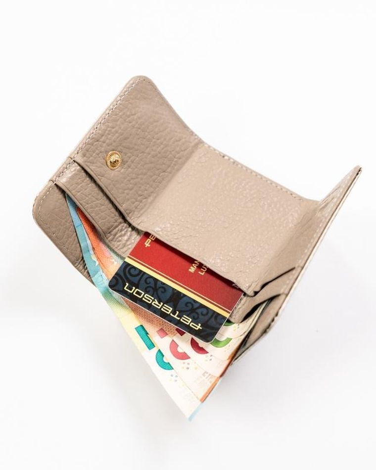 Portfel, beżowy, skórzany, Peterson