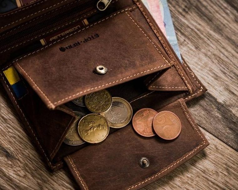 Portfel, brązowy, skórzany, Peterson