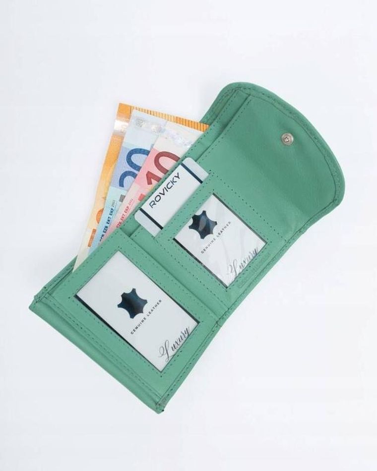 Portfel, jasnozielony, skórzany, Rovicky