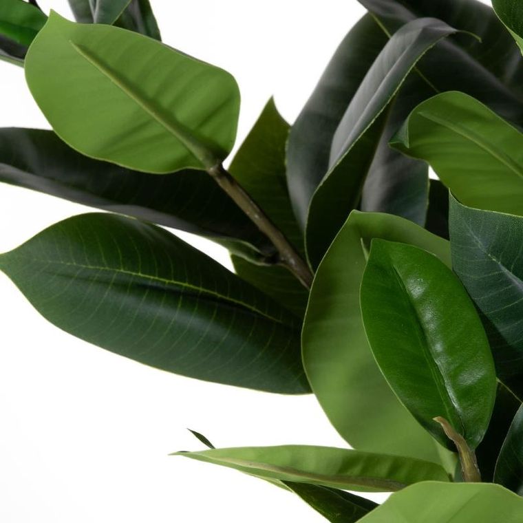 Present Time, sztuczna roślina, drzewko kauczukowe, 69 cm