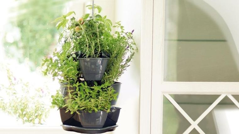 Prosperplast, doniczka kaskadowa do ziół, grafit