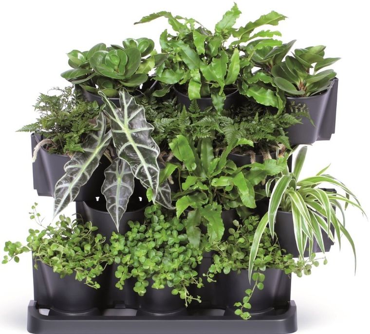 Prosperplast, kwietnik ogród wertykalny stojący, antracyt